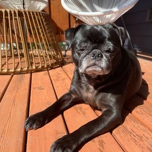 Meet your Posher, Yomi